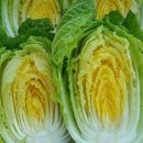 (주)자연농장 이미지