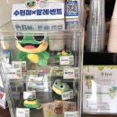 [수원/행궁동] 수원 장안문 뷰 카페 팔레센트 솔직 후기