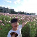 비행장주유소 이미지