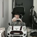 파파야1 | 돌아기 선물 추천 : 파파야나인 미니쿠퍼 푸쉬카 1년 실사용후기