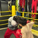 레드복싱클럽 이미지