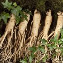 금산군 관광안내소 이미지