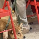 성오로 | 에스펙트 / 찌기대기 후기 이벤트 당첨 / 첫 눈 / 굴 파스타