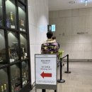 도그미뇽 이미지