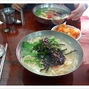 미르오토캠핑장 이미지