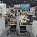 은하마트 | [육아템] 둘째를 위한 운명적 선택! 오이스터 4 유모차 쉘 핑크 내돈내산 후기 (feat. 베이비페어 오픈런)