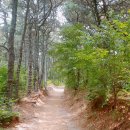 숙지산 화성 채석장 이미지