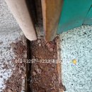 대은약국 이미지