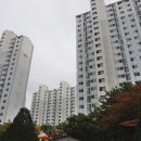 금오공인중개사사무소 이미지