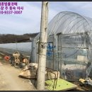 지방도905호선1 이미지