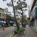 인타이 | 어린이대공원역맛집 '타이 인 플레이트' 솔직후기. Feat.나시고랭과 팟타이가 맛있는 가성비 맛집.