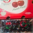 대왕카센타 이미지