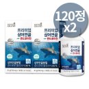 도리정 이미지