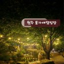물가애 | 원주 물가애캠핑장 후기(6.6~6.8)