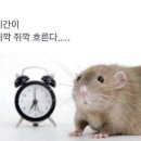 오우아스테이구룡포풀빌라2 | 시간이 쥐깍쥐깍 흐른다 ..