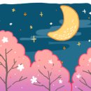 미호헤어 - 서초구 | 미호헤어