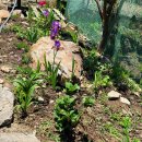 상왕농장 이미지