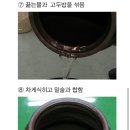 동양주 이미지