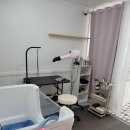 까미애견샵 이미지