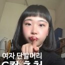 하시모토겐죠미장 이미지