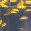 김포세계로약국 | Hongkong