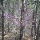 학동경로당 이미지