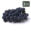 포도 - 성북구 보문로34길 54 | 포도