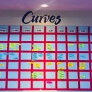 커브스 석촌클럽 이미지