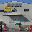 미미기업 이미지