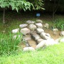 쉼터사슴 이미지