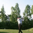 날개펴닭 이미지