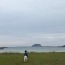 제주 감성 숙소 슬로우맨션 후기 | 오션뷰 성산일출봉펜션