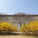 경정장후문 이미지