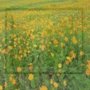 눈썹가게 - 전주시 덕진구 | 눈썹가게
