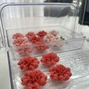 지나케이크 이미지