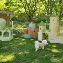 팔레드차밍리조트 이미지