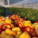 보내농장 이미지