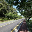 웅천 소류지 이미지