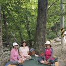 제1103차 내원사 계곡 이미지