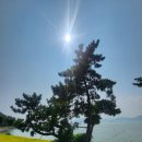 남파랑길 45코스 (서상항←새남해농협중현지소)