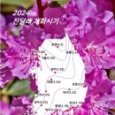 3/31 일) 사뿐히,즈려밟고.(칼바위+진달래 능선) 이미지