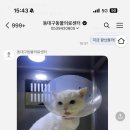 동구종합동물병원 이미지