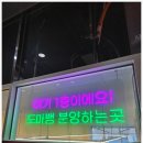 세븐 아라 | 아라동파충류샵, 비바리움 관심있으시다면 "파충류샵 도마뱀 아라 인천검단신도시점"