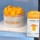 베라 강남대로점 n번째 재방문, 아이스크림케이크 종류 추천