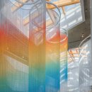 Stay the GAM 이미지