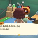 너굴상점 이미지