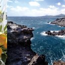 제주부자돈 이미지