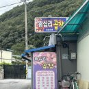 단양농협 대강지점 이미지