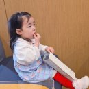 11545-09-60-04 | 모이몰른 피크닉 원피스와 몬트 반타이즈로 봄맞이 아기 등원룩 완성