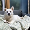 돌돌이네 이미지